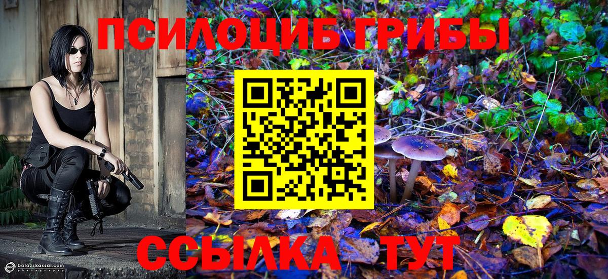 Октябрьский  Псилоцибиновые грибы Psilocybine cubensis  Вход с VPN 